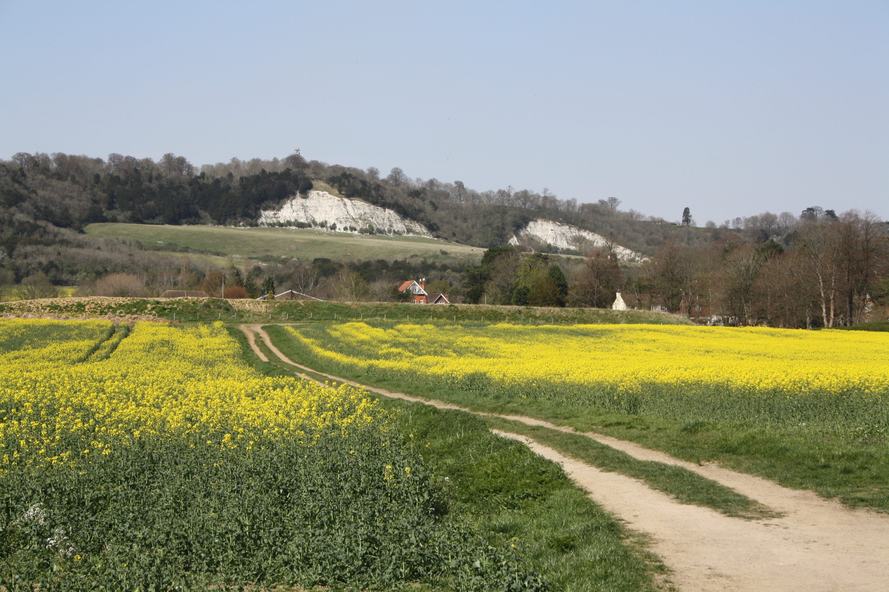 Photo of Betchworth