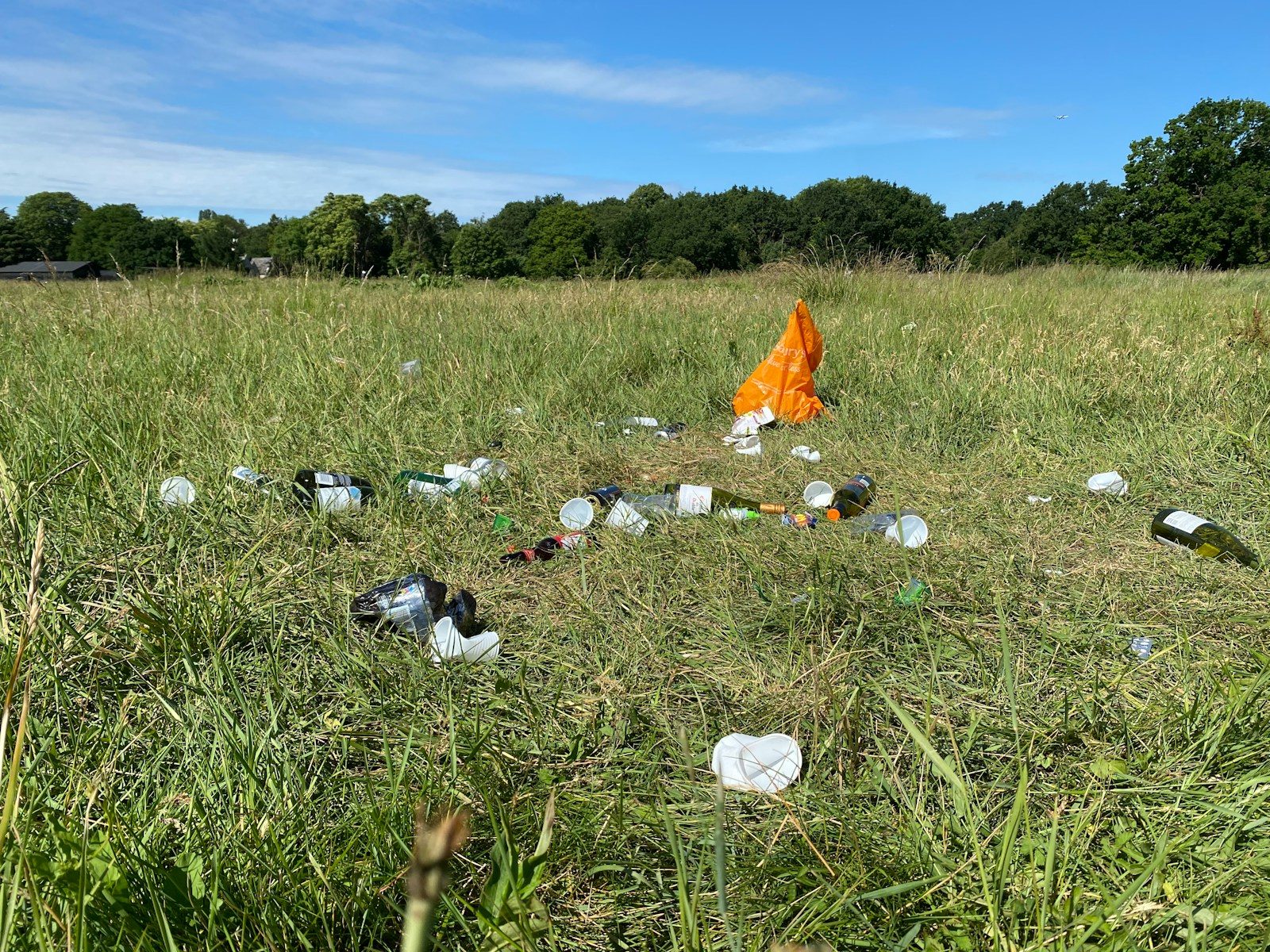 orange and white textile on green grass field during daytime