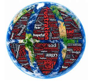Feelings after climate film
